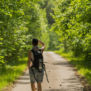Der Weg hinaus